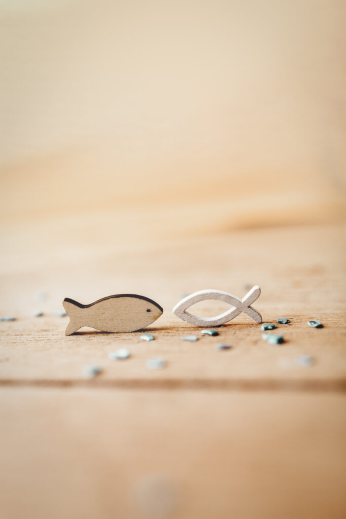 Firmung Fische Symbol